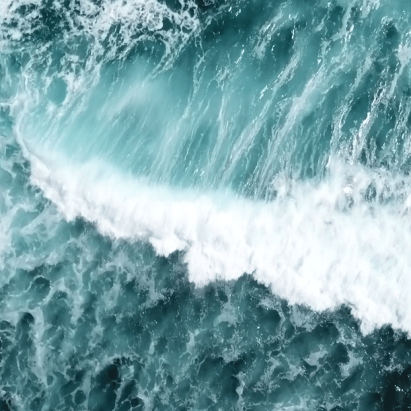 Thumbnail for Surfing El Salvador